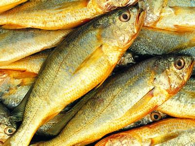 海鲜绵阳大洋绿洲冷库公司：海鲜水产保鲜贮藏方法介绍